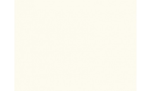 Пластик HPL EGGER W980 SM Платиновый Белый 2800х1310х0,8 мм