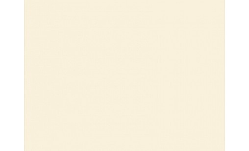 Компакт-плита FunderMax 0733 FH Hygienic White / чорне ядро 4100х1300х12 мм