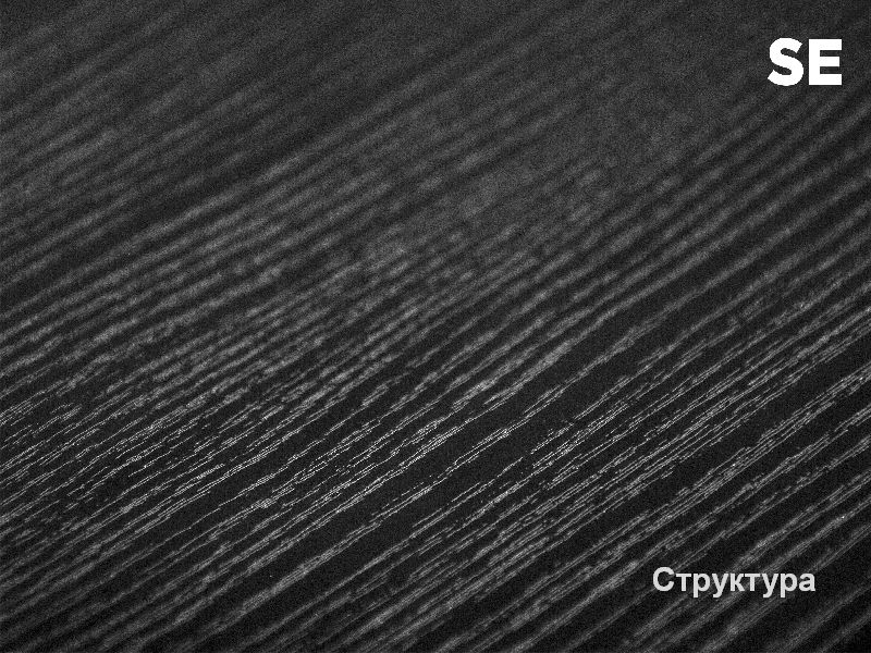 ▻ ДСП SwissPan 0336 SE Аруша Венге 2750х1830х16 мм ✔️ купити в