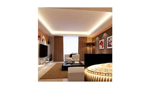 Стрічка світлодіодна Professional BPS-G3-12-2835-120-WW-20 теплий білий, негермет Biom