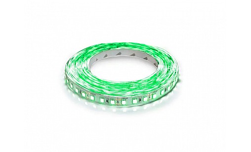 Лента светодиодная 3528-60/4,8WG зеленый, негерметичная, Biom