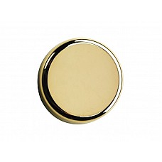 Заглушка для петли  CLIP-TOP для стекляных дверей золото 84.4120 BLUM Заглушка для петли  CLIP-TOP для стекляных дверей золото 84.4120 BLUM