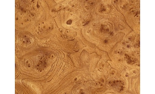 Столешница SWISS KRONO 1306 SQ Корень 1U R6 3050х600х28 мм