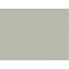 ЛДСП 0079 PE Алюміній 2750х1830х18мм Swisspan