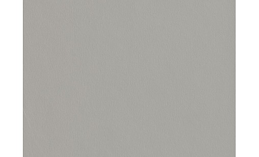 Пластик HPL EGGER F765 ST20 Серебристый Матовый 2800х1310х0,8 мм