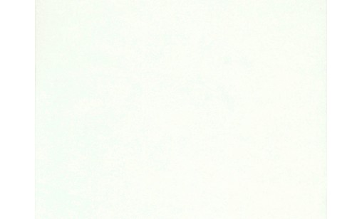 ЛДСП 0078 SE Білий 2750х1830х18мм Swisspan