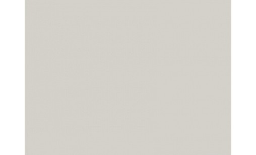 Панель МДФ 8110/1012 Gray Beige Carbon Матовий (Двосторонній) 2800х1220х18 мм - Carbon AGT ASD