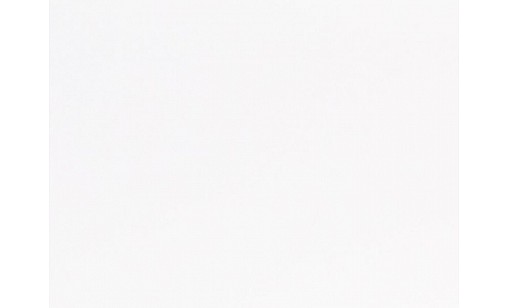 Стінова панель LUXEFORM L900 Білий бекинг пластик білий 4200х600х10 мм