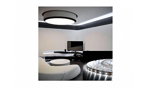 Стрічка світлодіодна Professional BPS-G3-12-2835-60-CW-20 холодний білий, негермет. Biom