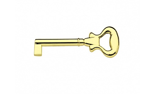 Ключ DC DE 281 G3 золото (SL)