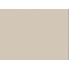 ЛДСП U119 PE Світлий беж 2800х2070х16мм SWISS KRONO