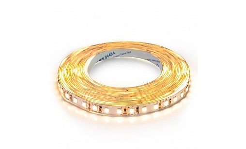 Стрічка світлодіодна Professional BPS-G3-12-2835-120-WW-20 теплий білий, негермет Biom