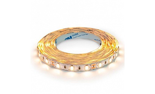 Стрічка світлодіодна Professional BP-G2-12-5630-60-WW-20 теплий білий, негермет Biom