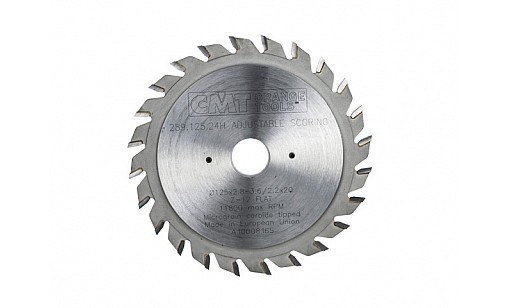 Пила СМТ 125*20  Z-2*12 (289.125.24Н)