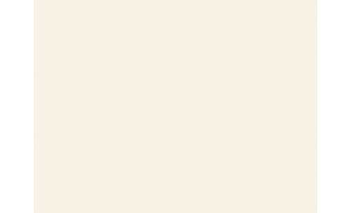 Пластик HPL EGGER W1200 ST9 Порцеляна Біла 2800х1310х0,8 мм